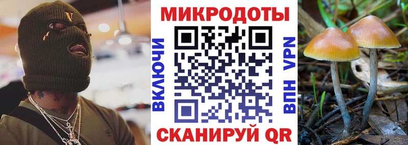 Купить закладки Пересвет Галлюциногенные грибы MAGIC MUSHROOMS